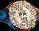 Титульный реванш и два финальных элиминатора — решения WBC