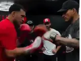 WBA требует у Бенавидеса отказаться от чемпионского пояса