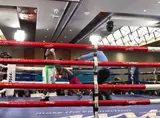 Нгхитумбва красиво срубил Зуму, а Маладжика уничтожил Маму: видео