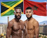 Полный кард UFC Fight Night 274: Алджамейн Стерлинг – Юссеф Залал. Все бои шоу 26 апреля