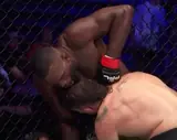 Эдвардс побил Сильвейру. Результаты PFL World Tournament 7 