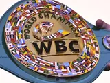 У волшебника Сулеймана: WBC провели рокировку чемпионов