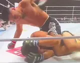 Шайдуллаев уничтожил Асакуру: результаты и видео новогоднего шоу Rizin