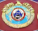 Обновился рейтинг WBO: Лапин, Богачук и Чухаджян вылетели из топ-15 