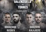 Полный кард Zuffa Boxing 02: Богачук, Гвоздик и другие