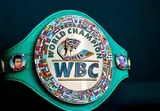 Киевский титульник отменён, хаос и жесть в крузервейте — решения WBC