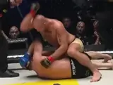 KSW 117. Павлак забил Халидова, Фрис не оставил шансов Войчику: видео