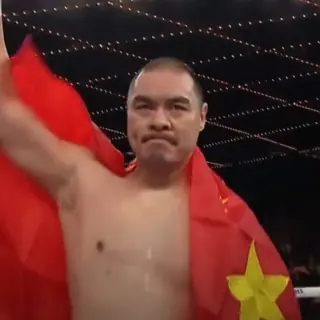 Чжан Чжилеи