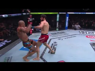 Анкалаев победил Перейру. Видео лучших моментов UFC 313