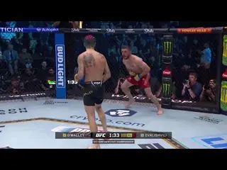 Двалишвили одолел О'Мэлли, Шевченко разгромила Грассо. Видео лучших моментов UFC 306