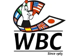 Обновился рейтинг WBC: Хегай в топ-15, а Богачук под №1