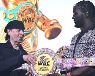 В WBC хотят претендентский турнир в лёгком весе: решения из Гамбурга