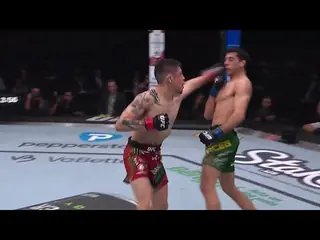 Морено победил Эрцега. Видео лучших моментов UFC on ESPN 64