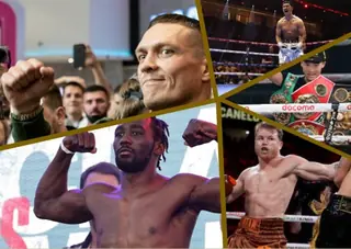 Действующие чемпионы мира по боксу