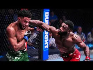 Стерлинг побил Залала. Видео лучших моментов UFC Fight Night 274