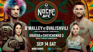 Канело начинать бояться? UFC 306: О’Мэлли − Двалишвили, Грассо − Шевченко 3, Ортега − Лопес 