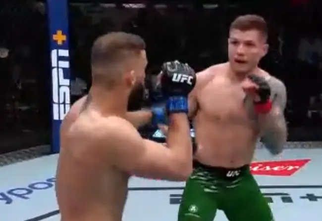 Долидзе перебил Веттори в главном событии UFC Fight Night 254