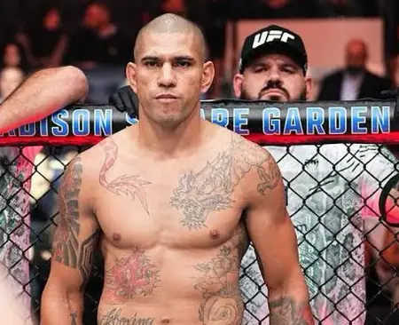 Рефери UFC назвал бойца с самым сильным ударом: «Никогда прежде такого не видел»