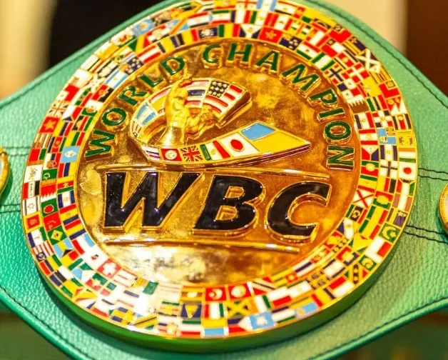Обновился рейтинг WBC: Лапин, Богачук и Чухаджян вылетели из топ-15 