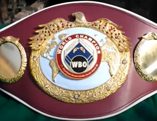 В WBO пошли навстречу Алимханулы и Ширазу